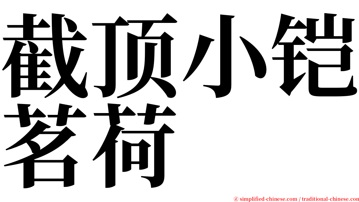 截顶小铠茗荷 serif font