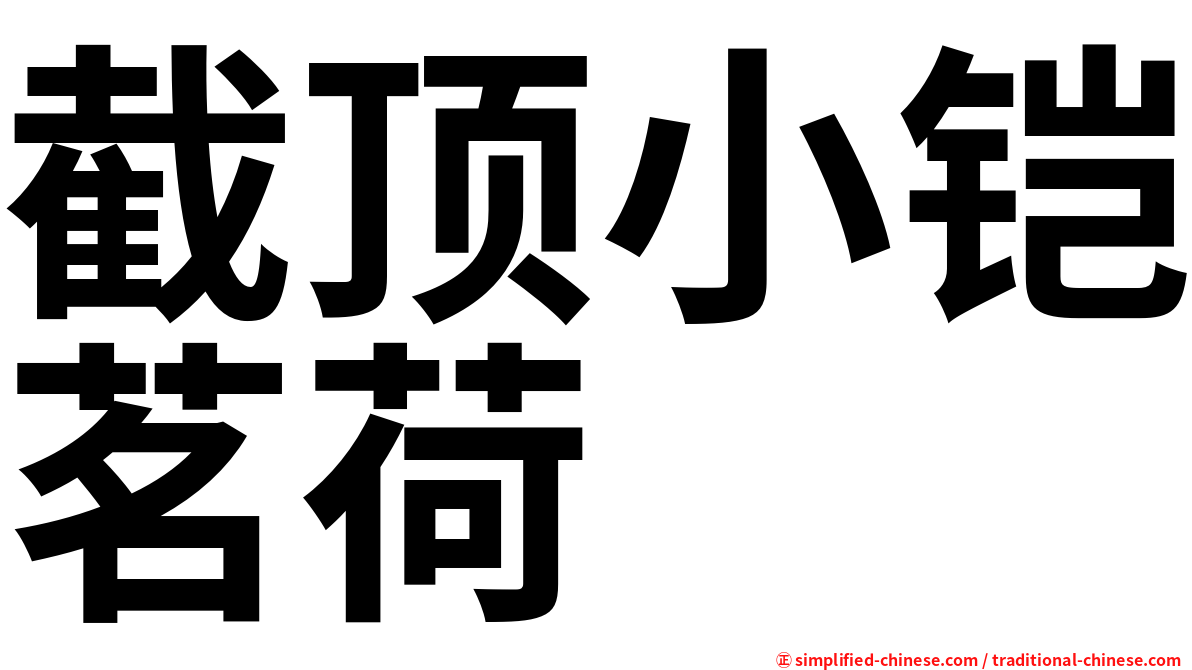 截顶小铠茗荷