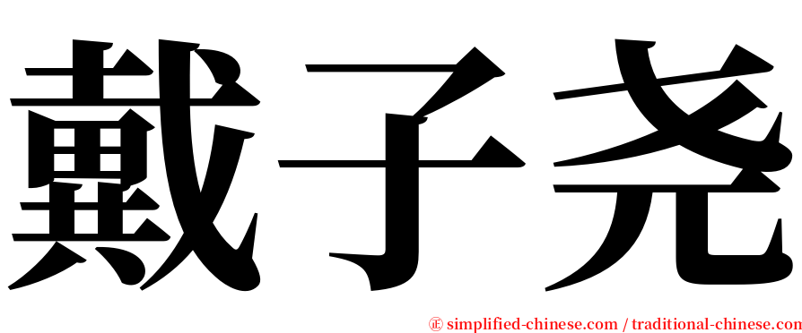 戴子尧 serif font