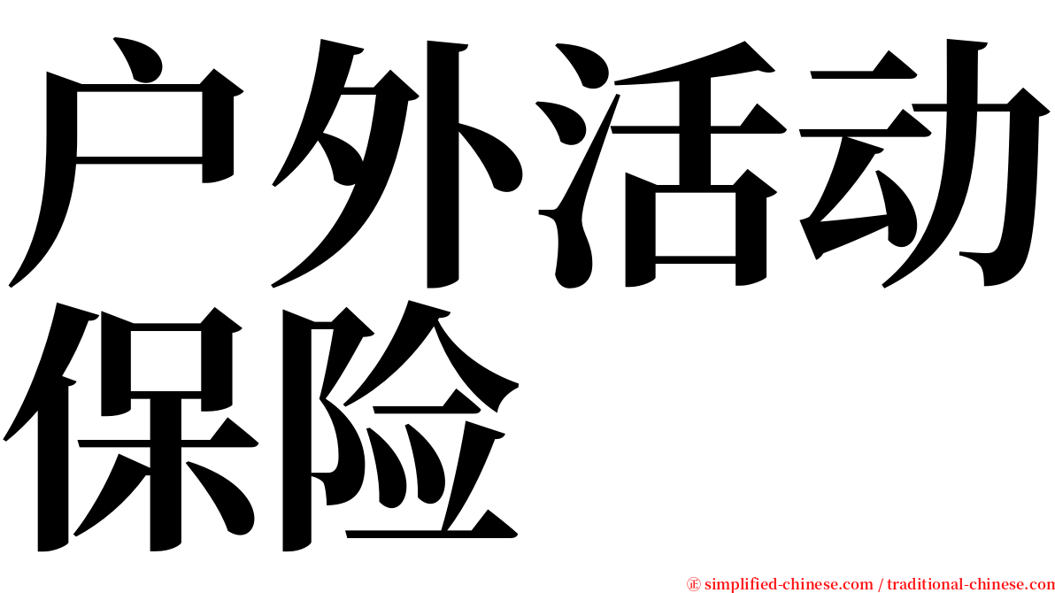 户外活动保险 serif font