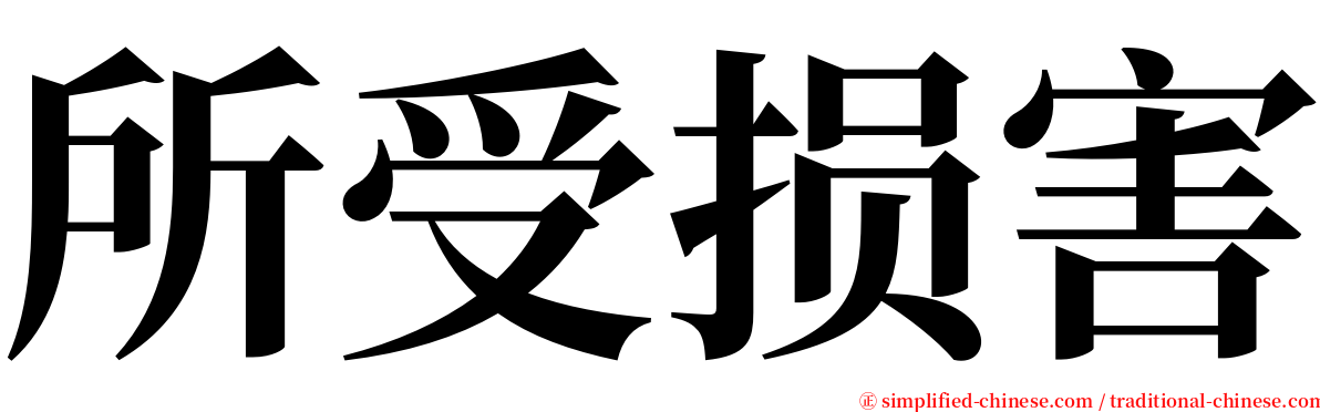 所受损害 serif font
