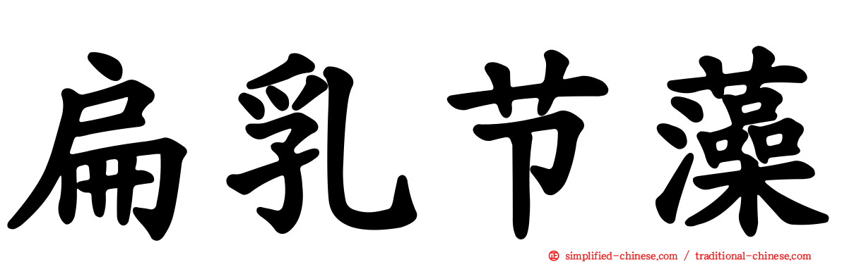 扁乳节藻