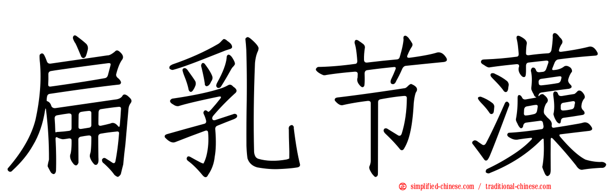扁乳节藻