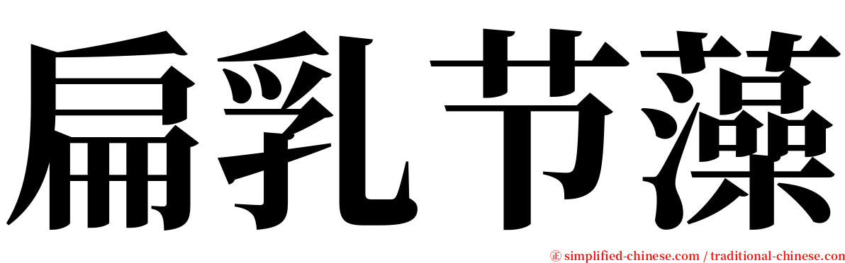 扁乳节藻 serif font