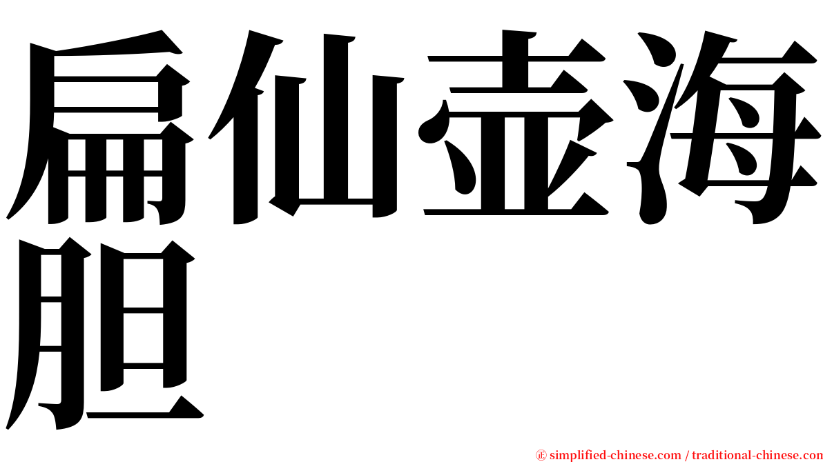 扁仙壶海胆 serif font