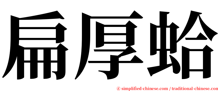 扁厚蛤 serif font