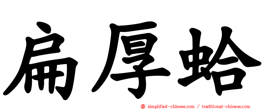 扁厚蛤