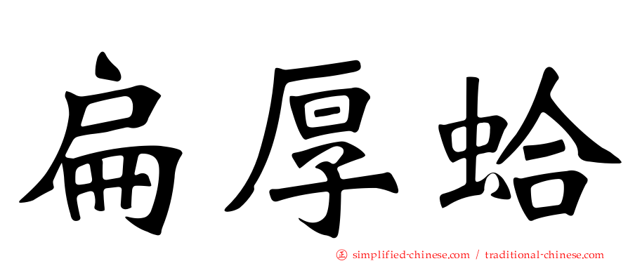 扁厚蛤