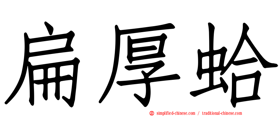 扁厚蛤