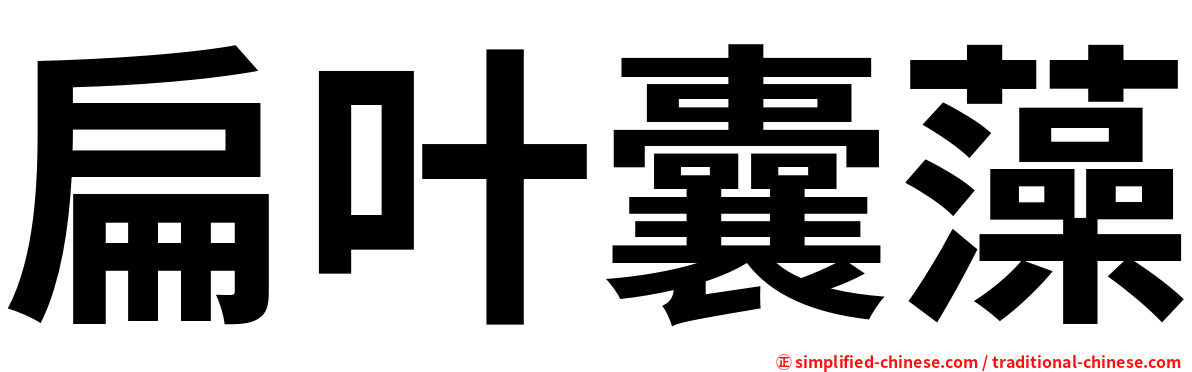扁叶囊藻