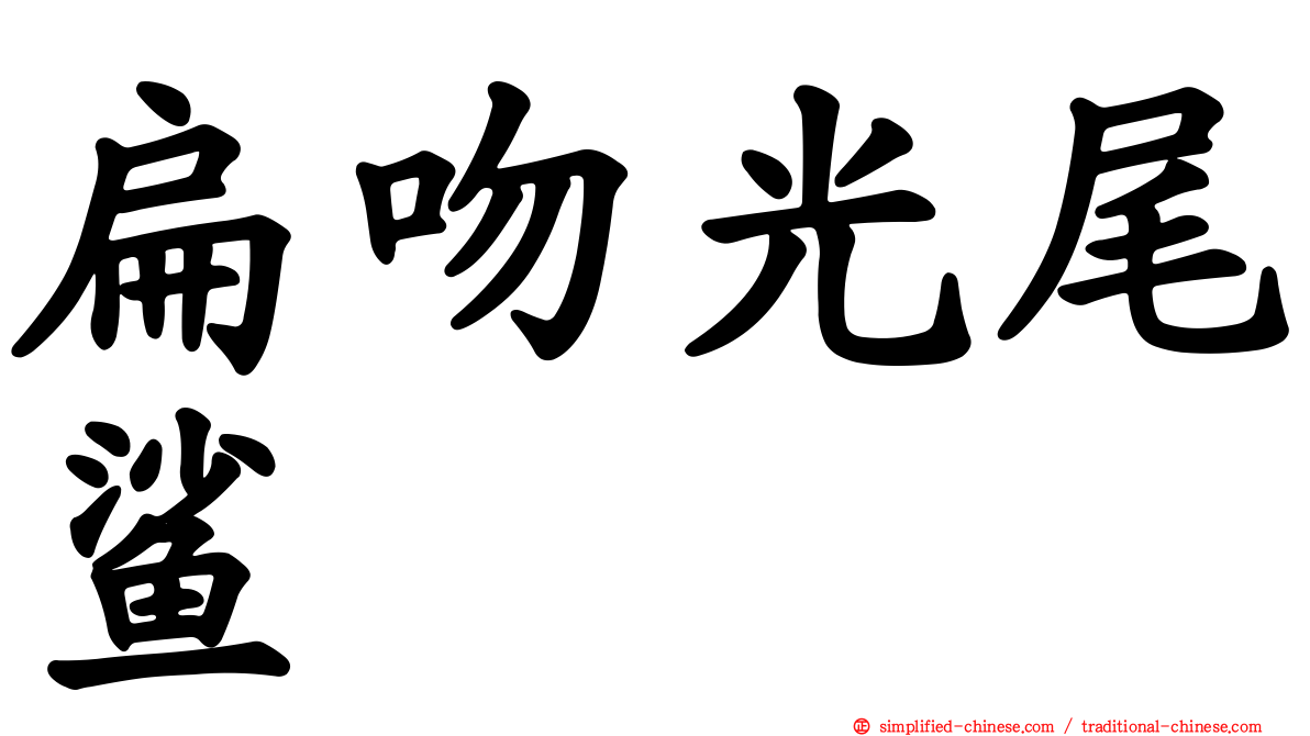 扁吻光尾鲨