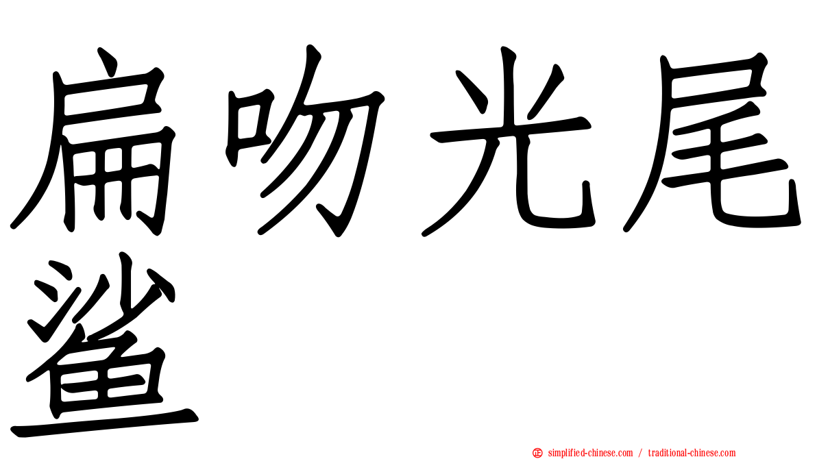 扁吻光尾鲨