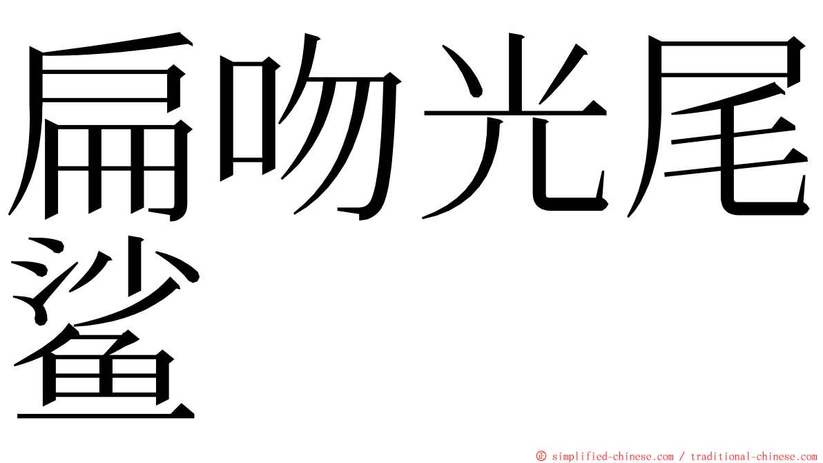 扁吻光尾鲨 ming font
