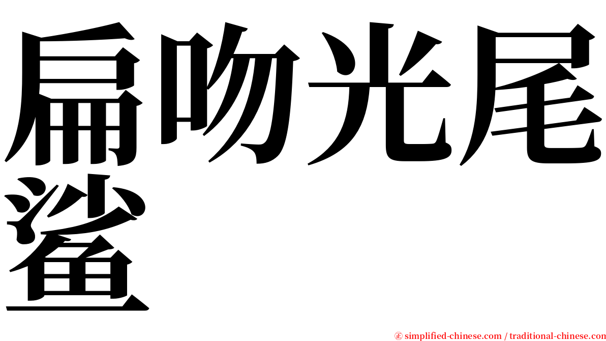 扁吻光尾鲨 serif font