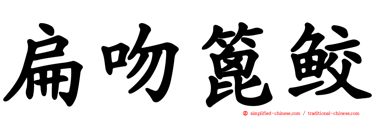 扁吻篦鲛