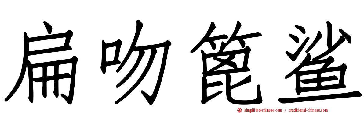 扁吻篦鲨