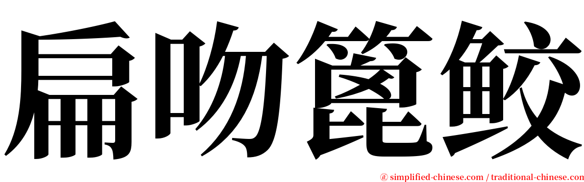扁吻篦鲛 serif font