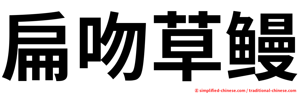 扁吻草鳗