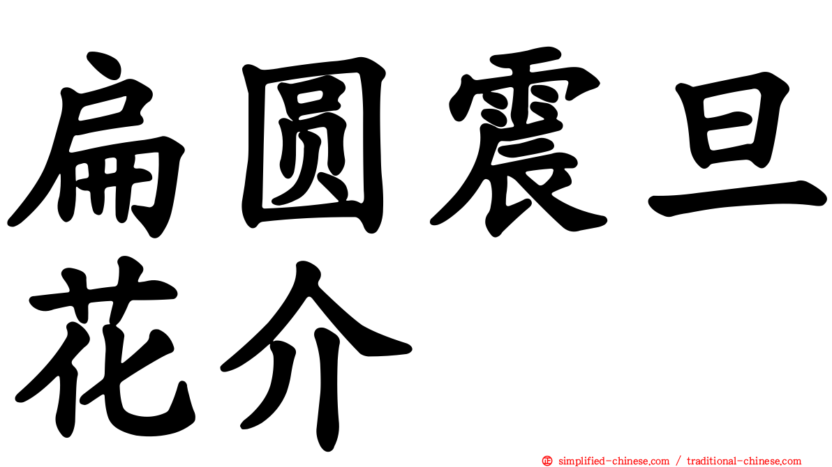 扁圆震旦花介