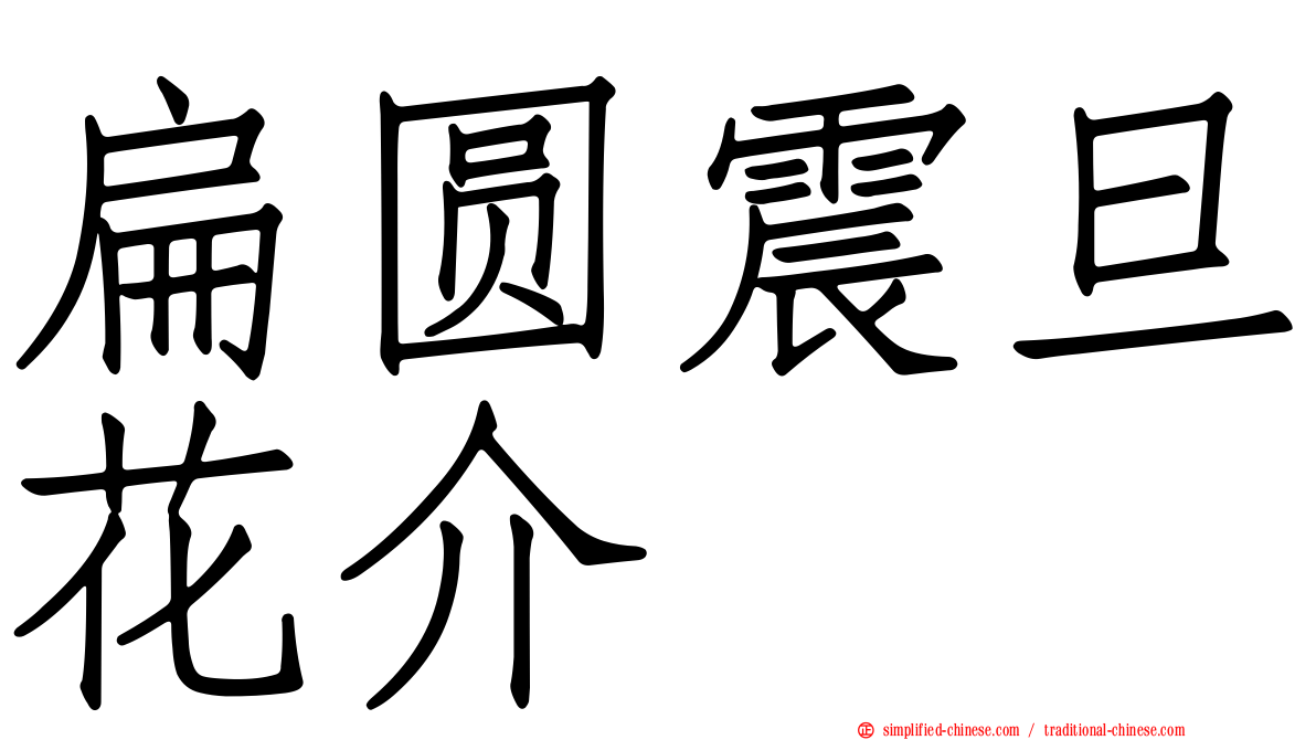 扁圆震旦花介