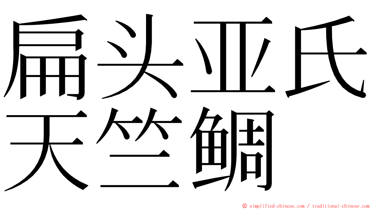 扁头亚氏天竺鲷 ming font
