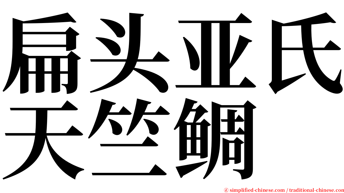 扁头亚氏天竺鲷 serif font
