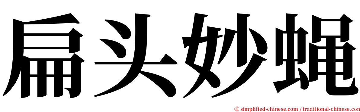 扁头妙蝇 serif font