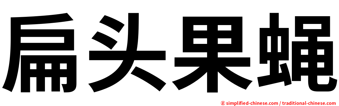 扁头果蝇