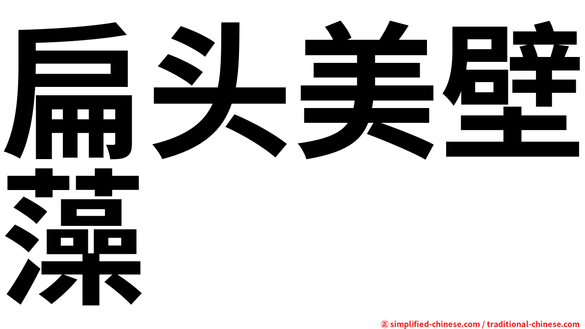 扁头美壁藻