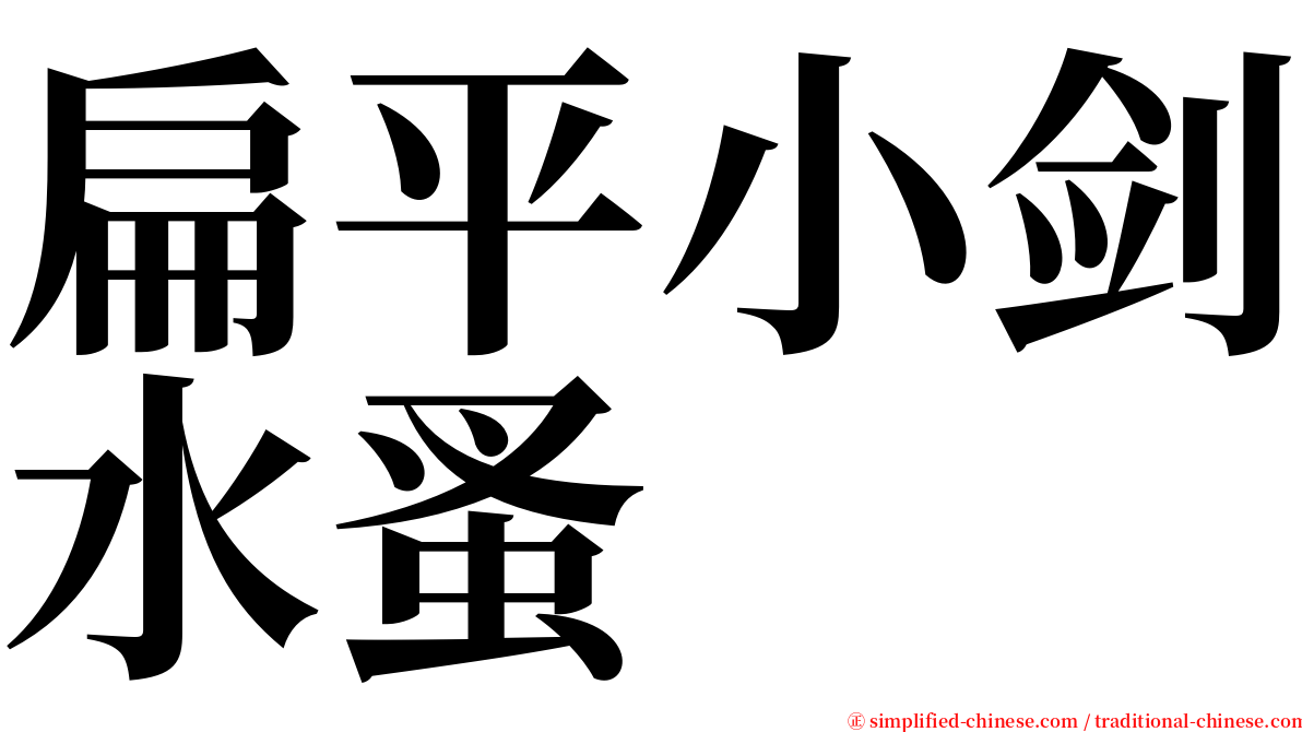 扁平小剑水蚤 serif font