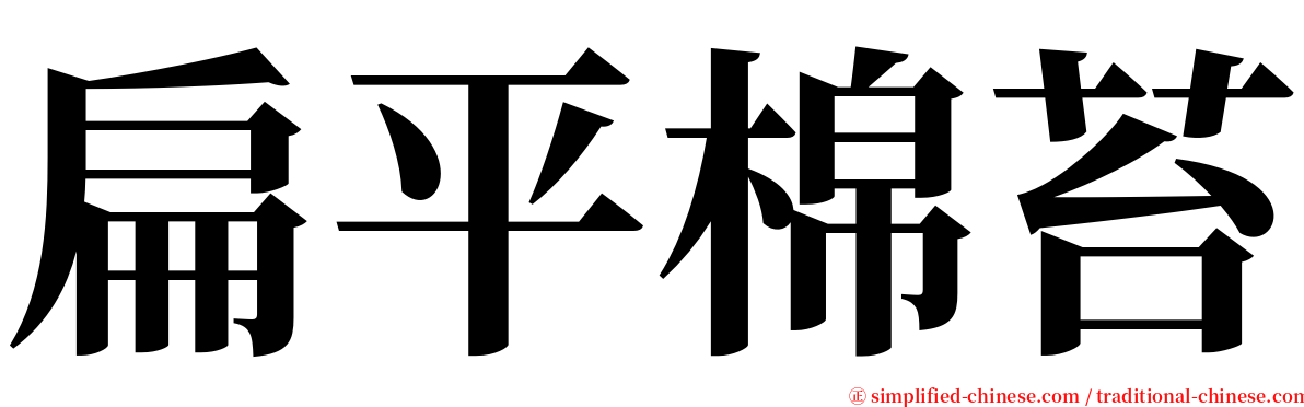 扁平棉苔 serif font
