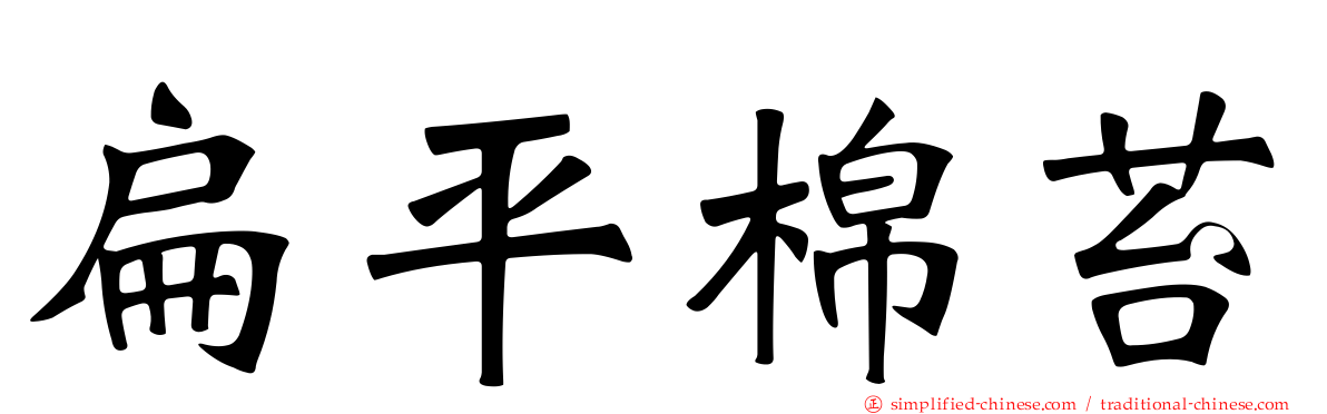 扁平棉苔