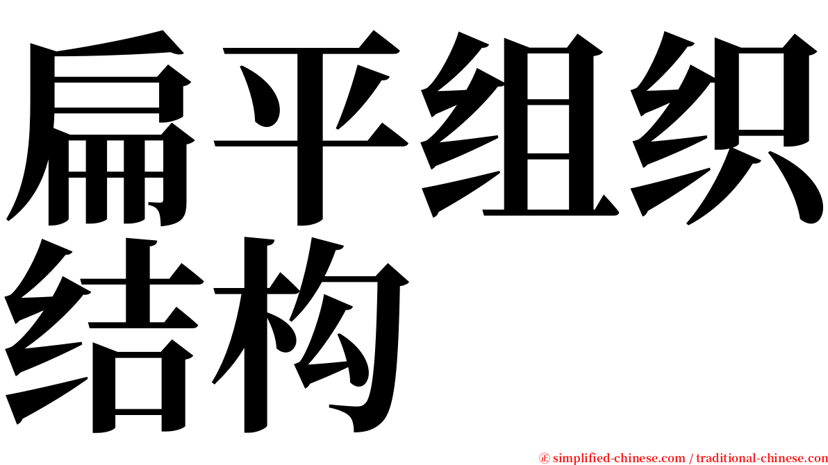 扁平组织结构 serif font