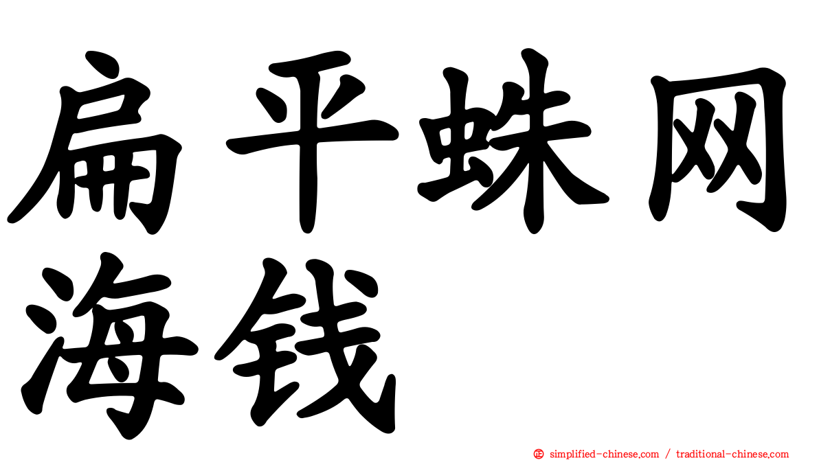 扁平蛛网海钱