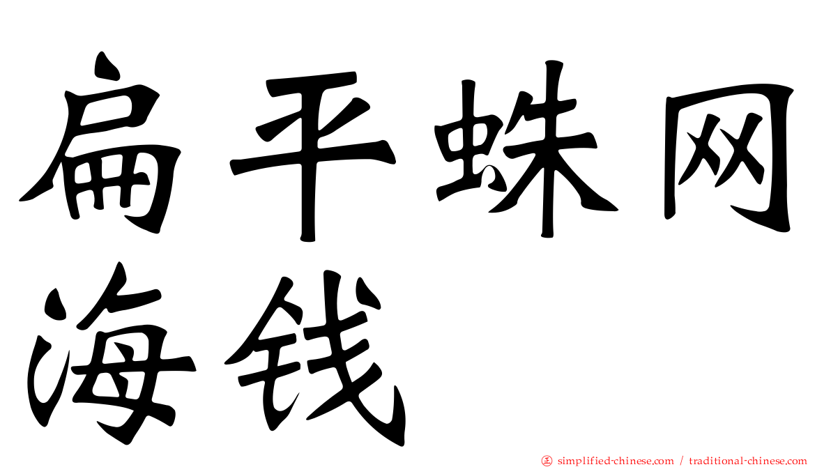 扁平蛛网海钱