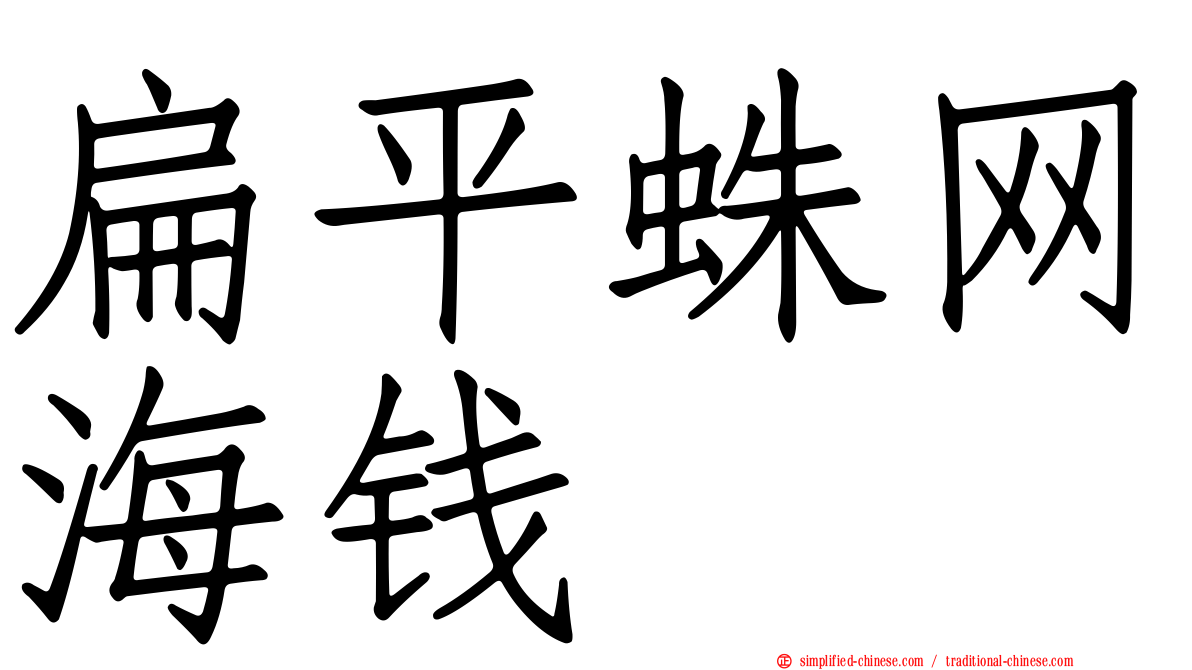 扁平蛛网海钱