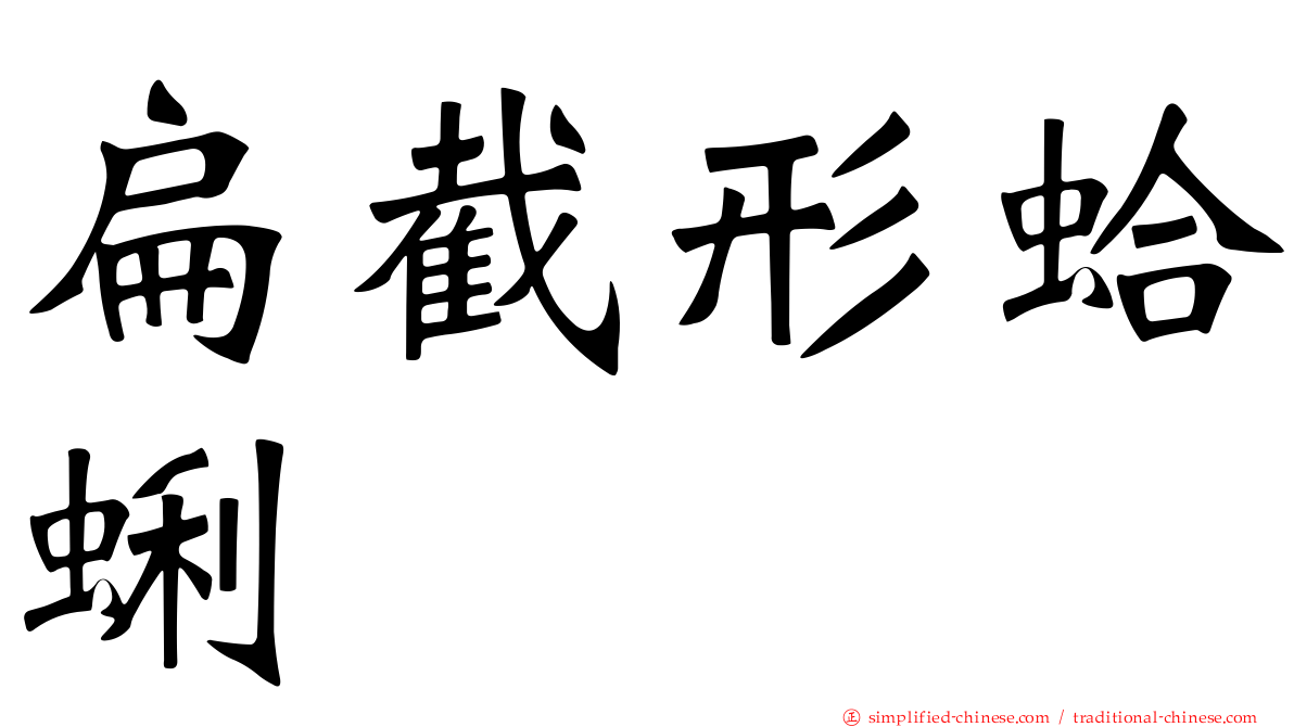 扁截形蛤蜊