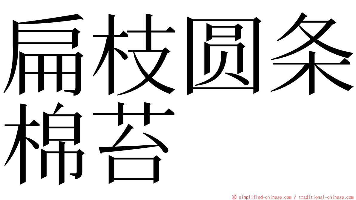 扁枝圆条棉苔 ming font