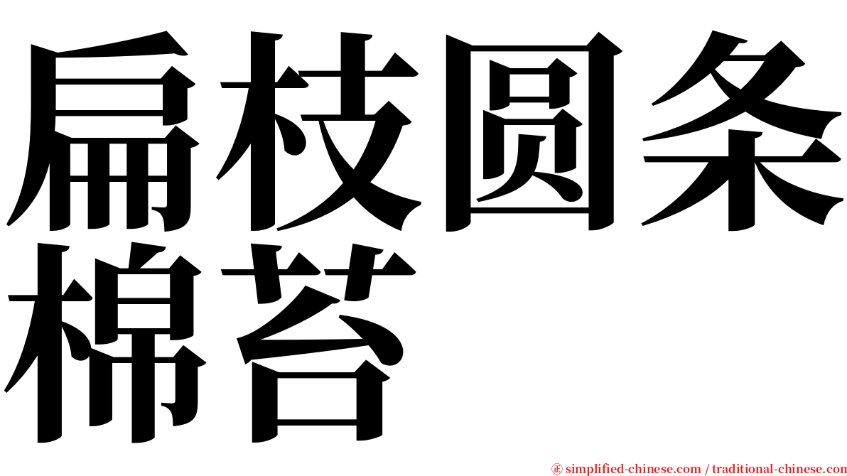 扁枝圆条棉苔 serif font