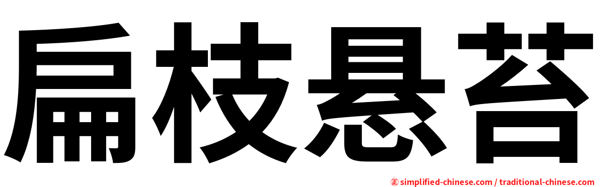 扁枝悬苔
