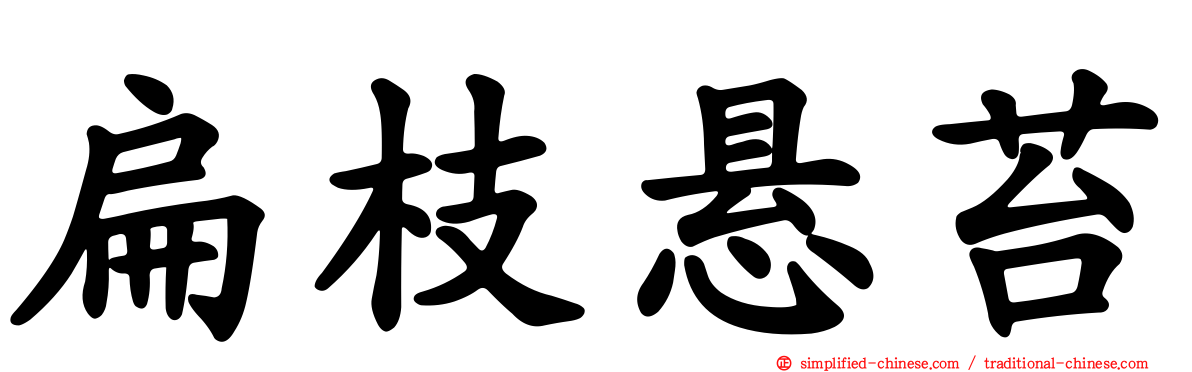 扁枝悬苔