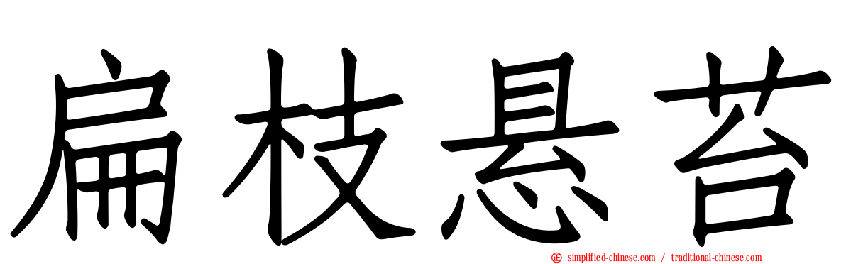 扁枝悬苔