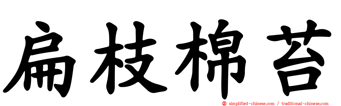 扁枝棉苔