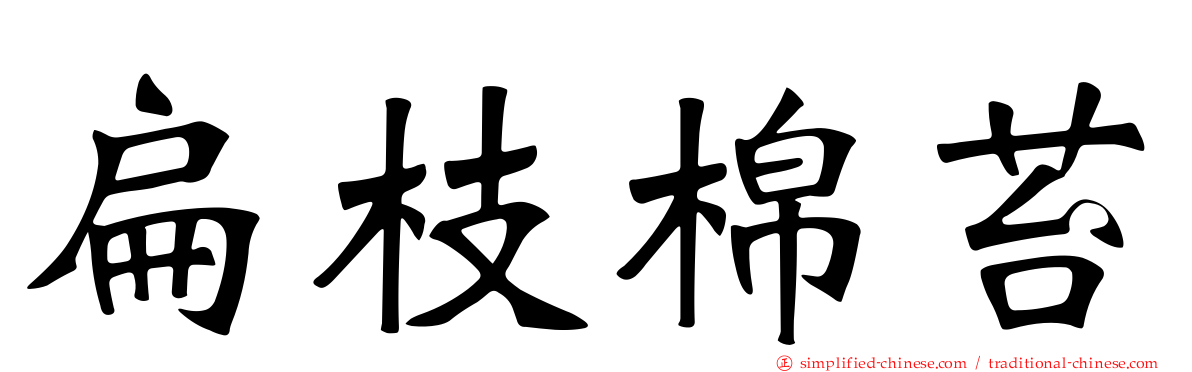 扁枝棉苔