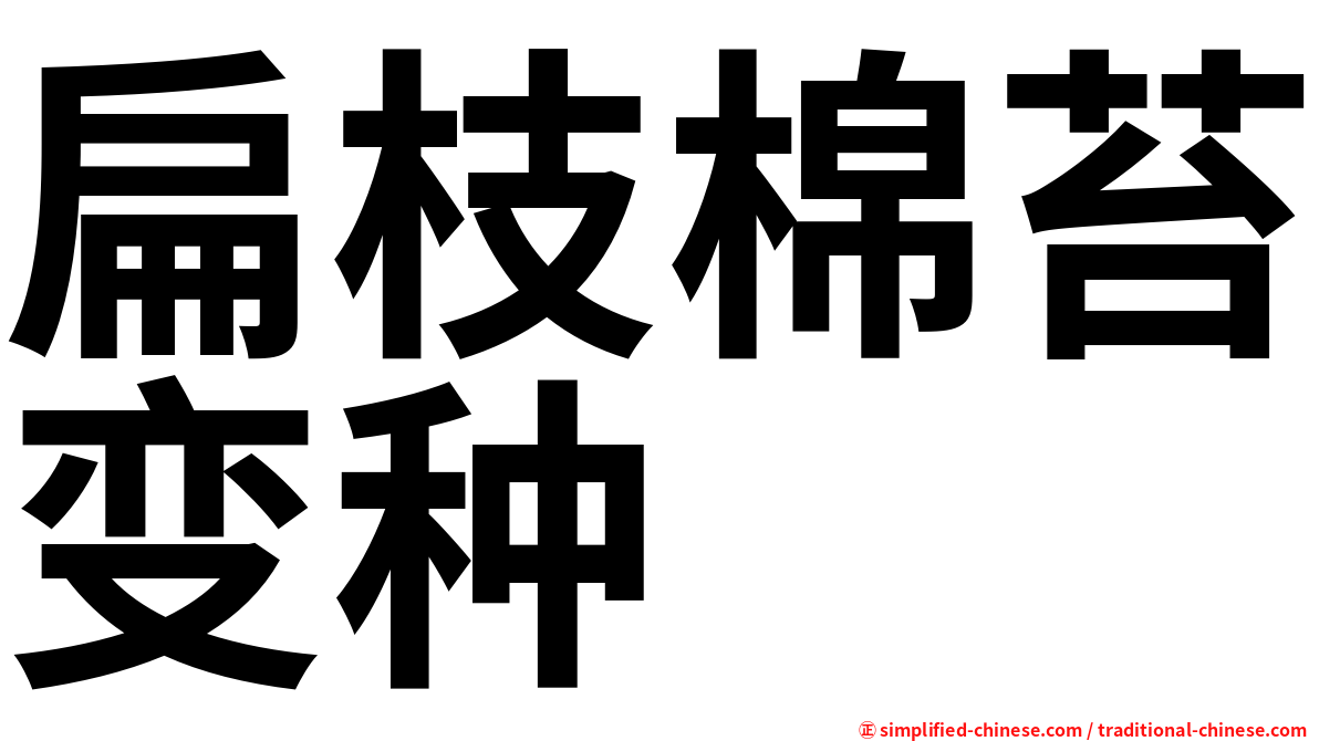 扁枝棉苔变种