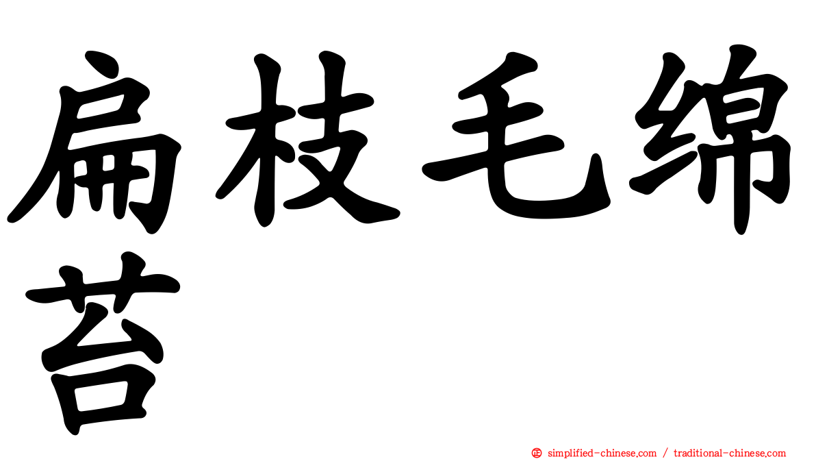 扁枝毛绵苔