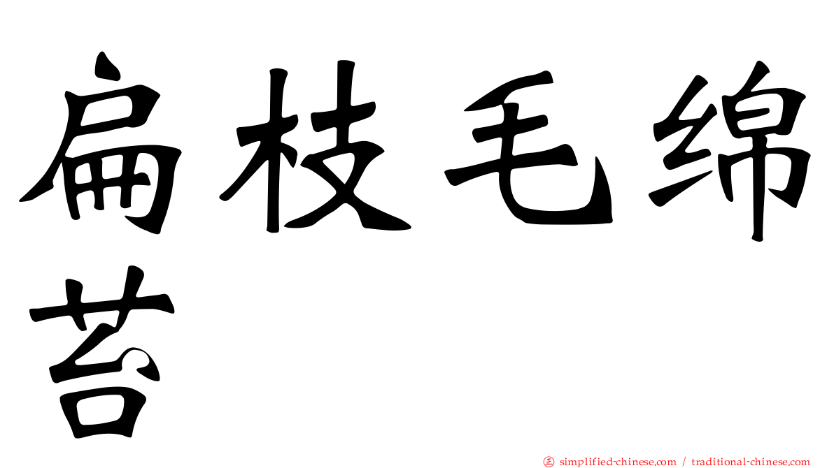 扁枝毛绵苔
