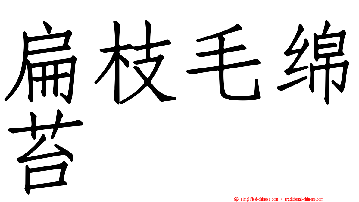 扁枝毛绵苔