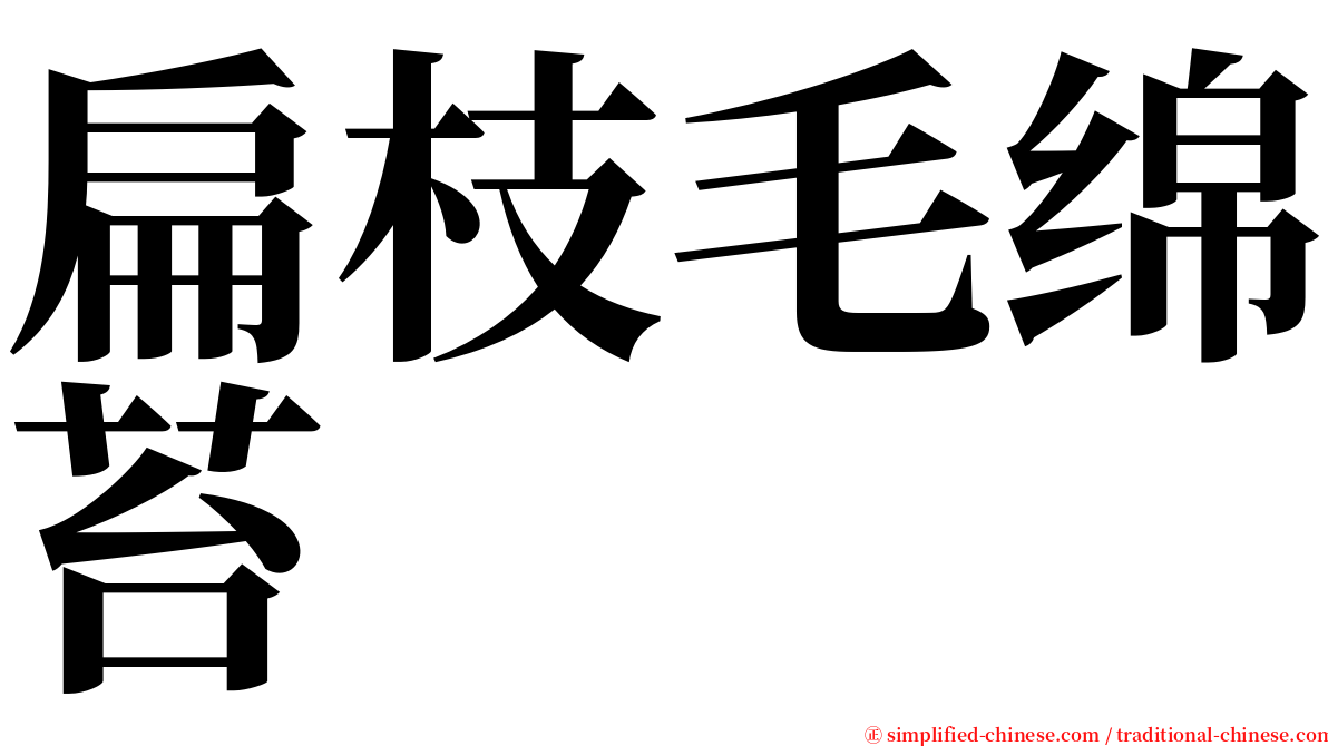 扁枝毛绵苔 serif font