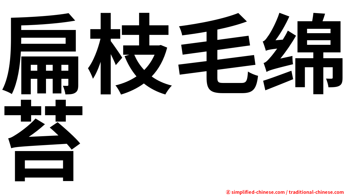 扁枝毛绵苔